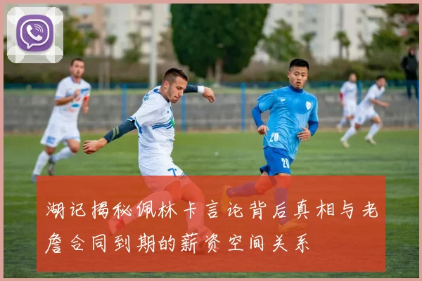 湖记揭秘佩林卡言论背后真相与老詹合同到期的薪资空间关系