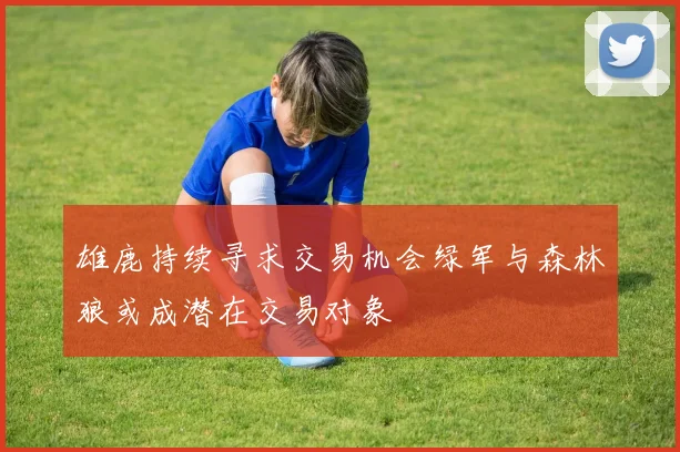 雄鹿持续寻求交易机会绿军与森林狼或成潜在交易对象